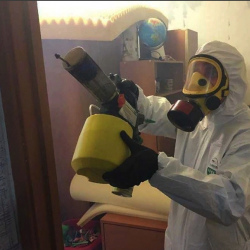 Уничтожение клопов в квартире. Чаны